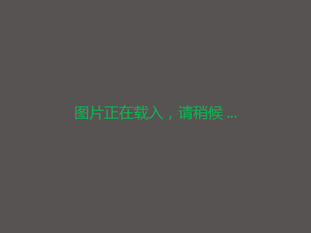 出租，20年年限，租金25000元/年